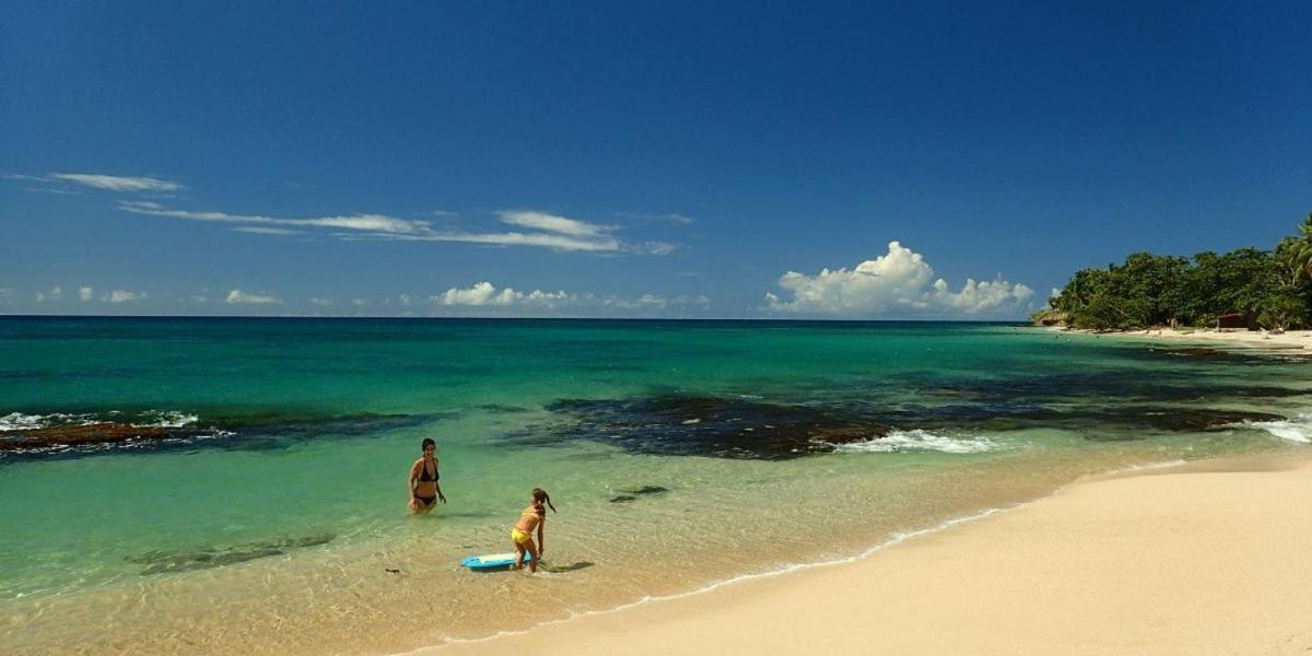 Nouveau Domaine De Mabouya Vue Mer Et Proximite Plage サント・リュス エクステリア 写真
